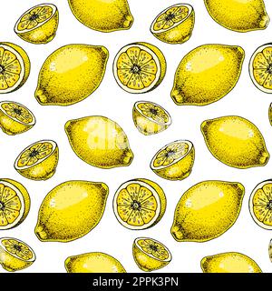Nahtloses Zitronenmuster. Farbenfrohe handgezeichnete Vektordarstellung im Skizzenstil. Tropische exotische Zitrusfrüchte im Sommer Stock Vektor