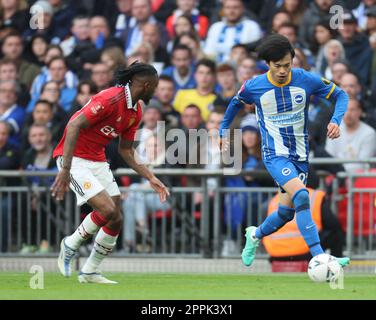 Brighton & Hove Albion's Kaoru Mitoma während des FA Cup - Halbfinale Fußballspiele zwischen Brighton und Hove Albion gegen Manchester United in Wemb Stockfoto