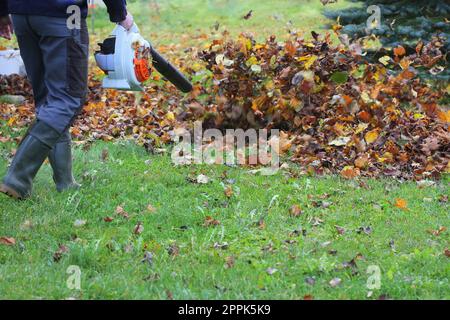 Arbeiter Reinigung fallende Blätter im Herbst Park. Mann, der Laubgebläse zum Reinigen der Herbstblätter verwendet. Herbstsaison. Parkreinigungsservice. Stockfoto