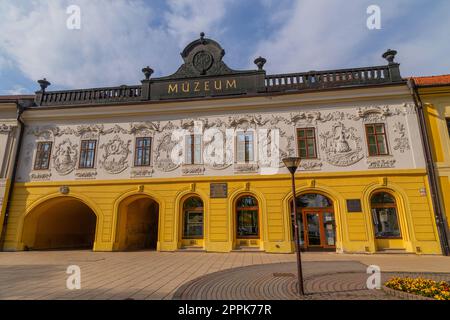Museum Spisa, Spisska Nova Ves Stockfoto