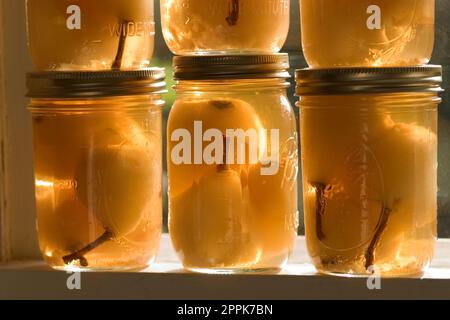 bartlett-Birnen aus der Dose kühlen auf dem Fensterbrett in der Küche. Stockfoto