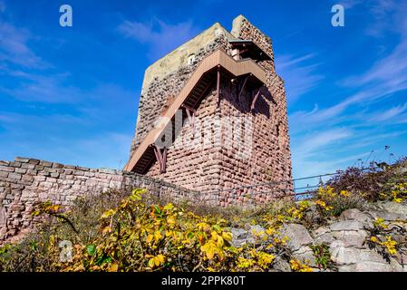 Kaiserburg Kyffhausen (Reichsburg Kyffhausen) im deutschen Land Thüringen Stockfoto