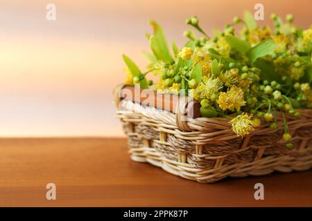 Wunderschöne Lindenblüten und grüne Blätter in Korb auf Holztisch. Platz für Text Stockfoto