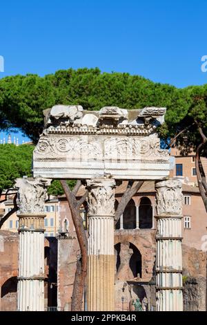 Forum de Caesar, Teil des Forum Romanum, Blick auf die Ruinen des Tempels der Venus Genetrix, Rom, Italien. Stockfoto