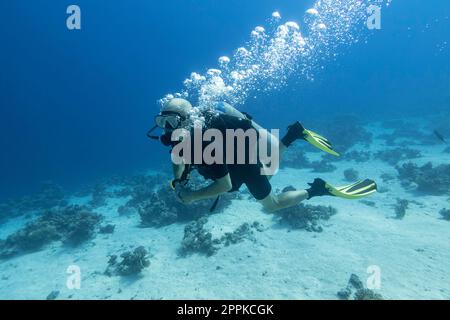 Einzeltaucher mit der Ausrüstung über farbenfrohe Korallenriffe auf dem sandigen Grund des tropischen Meeres, Unterwasserlandschaft Stockfoto