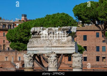 Forum de Caesar, Teil des Forum Romanum, Blick auf die Ruinen des Tempels der Venus Genetrix, Rom, Italien. Stockfoto