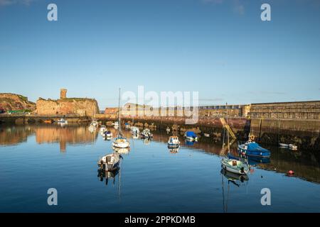 Hafen von Dunbar Schottland am Morgen Stockfoto