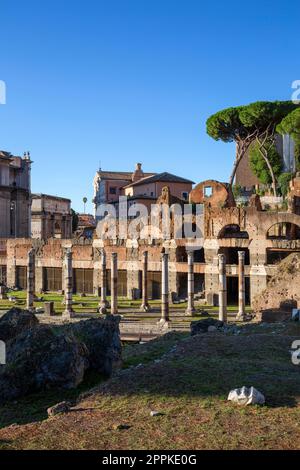 Forum de Caesar, Teil des Forum Romanum, Blick auf die Ruinen mehrerer wichtiger antiker Gebäude, Rom, Italien Stockfoto