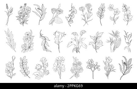 Wilde Blumen und Blätter streichen Kunstvektor auf Weiß. Stock Vektor