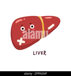 Leberkrankheit, Körperorgancharakter verletzt oder ungesund, Cartoon-Vektorpersönlichkeit. Fettlebererkrankung oder Lebererkrankung Infektion, ungesunde traurige Leber Stock Vektor