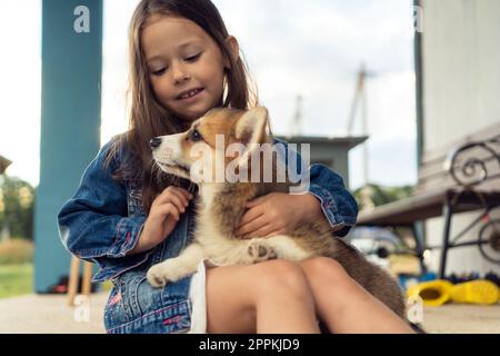 Porträt eines lächelnden kleinen Mädchens mit langen dunklen Haaren, das eine Jeansjacke trägt und das flauschige welsh pembroke Corgi Welpe umarmt. Stockfoto