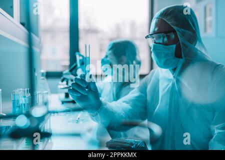 Der Arzt im Labor analysiert Proben für die wissenschaftliche Forschung Stockfoto