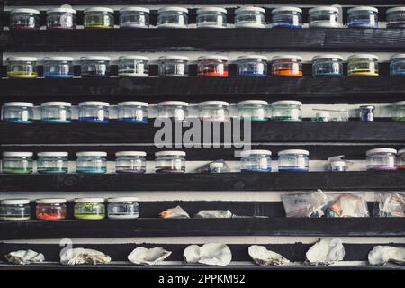 Nahaufnahme von Regalen mit Glasbechern und Muscheln Konzeptfoto Stockfoto