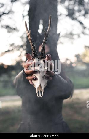 Nahaufnahme eines Tierschädel-Konzeptfotos Stockfoto