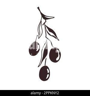 Olivenzweig mit zwei Früchten und Blättern, schwarzer Umriss, handgezeichnet. Vector Isolated Illustration, Logo für hochwertiges Olivenöl Stock Vektor