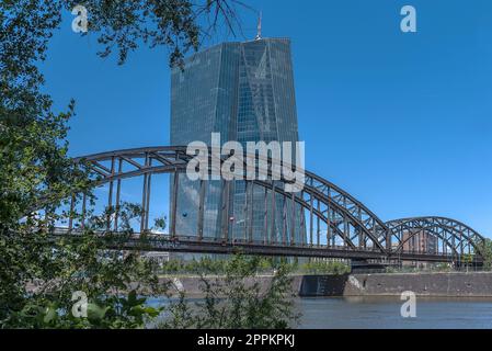 Blick über den Main zur Europäischen Zentralbank, Frankfurt, Deutschland Stockfoto