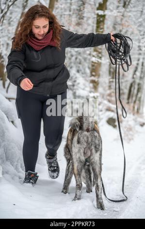 Eine Meisterin mit braunem lockigem Haar hält eine Hundeleine, enthüllt die Leine, akita inu Hund mit grauem orangefarbenem Fell im Winter mit viel Schnee Stockfoto