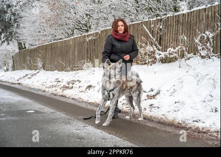 Junge Frau mit braunen Locken, die auf einer gefrorenen Straße mit ihrem grauen akita inu Hund steht und im Winter mit viel Schnee in die Kamera schaut Stockfoto