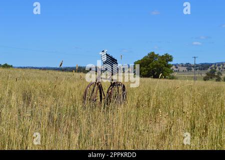 Tiere auf Fahrrädern entlang des Banjo Paterson Way Stockfoto