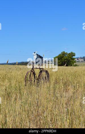 Tiere auf Fahrrädern entlang des Banjo Paterson Way Stockfoto