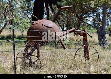 Tiere auf Fahrrädern entlang des Banjo Paterson Way Stockfoto