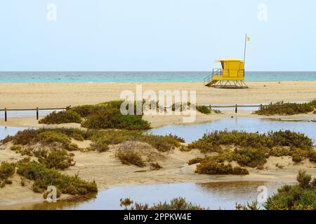 Strand auf der Kanarischen Insel Fuerteventura, Spanien. Typische gelbe Lebensretterhütte in Playa del Matorral, Playa de Jandia in Pájara. Stockfoto