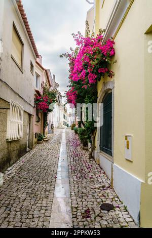 Enge Straße in Cascais Stockfoto