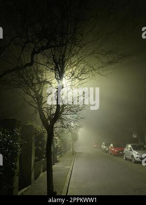 Das Licht der Straßenlaterne wird von Baumstämmen verstreut Stockfoto