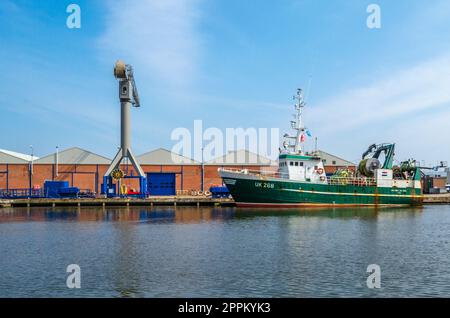 DEN HELDER, NIEDERLANDE - 25. AUGUST 2013: Schiffe im Hafen von Den Helder, Provinz Nordholland, Niederlande Stockfoto