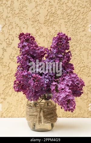 Wunderschöne Fliederblumen im Glasgefäß an der beigefarbenen Wand Stockfoto
