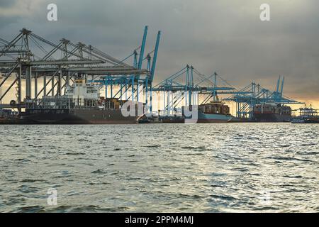 Container Dock in Rotterdam. Stockfoto