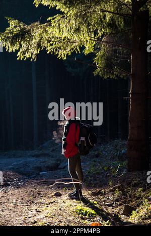 Müder Wanderer atmet kalte Luft unter Kiefern, malerische Fotografie Stockfoto