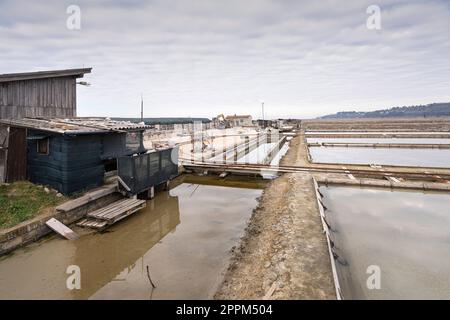 Secovlje Salzpfanne, Slowenien Stockfoto