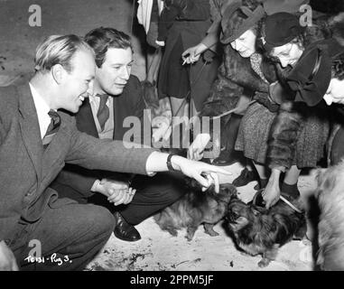 Co-Produzent GEORGE BROWN und Produzent/Regisseur PETER USTINOV am Set wählte einen Pekingese Dog für eine wichtige Rolle in ihrem Film VICE VERSA 1948 Regisseur/Drehbuch PETER USTINOV Roman F. Anstey George H. Brown Productions for Two Cities Films/General Film Distributors (GFD) Stockfoto