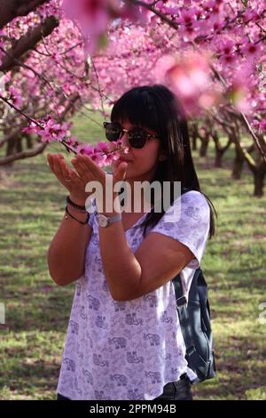 Die Frau riecht die hübschen pinkfarbenen Pfirsichblüten. Stockfoto