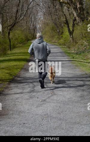 Auf dem Virginia Creeper Trail zwischen Abingdon und dem Whitetop Mountain im Südwesten Virginias joggt und spaziert ein Mann mit seinem Hund. Stockfoto