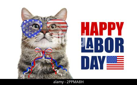 Alles Gute Zum Tag Der Arbeit. Süße Katze mit Sonnenbrille und Schleife in den Farben der amerikanischen Flagge auf weißem Hintergrund Stockfoto