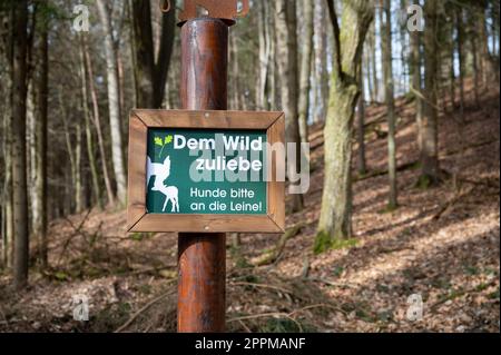 Deutsches Schild an einem Wildpark um der Wildnis willen, bitte halten Sie die Hunde an der Leine Stockfoto