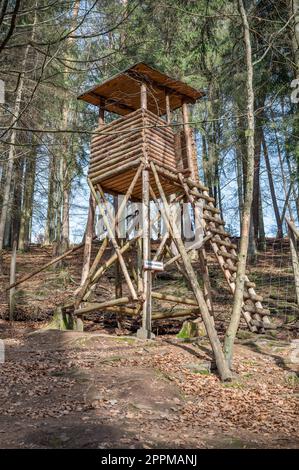 Hirschstand aus Holz in den Wäldern mit Leiter, niedriger Blickwinkel, Wald im Hintergrund, vertikaler Schuss Stockfoto