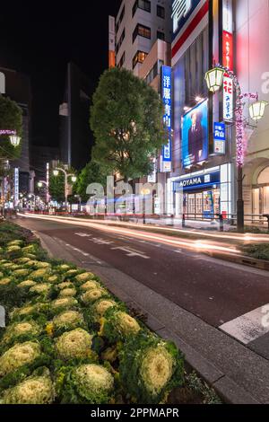 ikebukuro, japan - dezember 31 2019: Nachtsicht auf den Bürgersteig der Sunshine Street am Ostausgang des Bahnhofs Ikebukuro mit Gräsern an Stockfoto