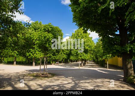 Ein schöner sonniger Tag im berühmten Schloss Schönbrunn in Wien. Stockfoto