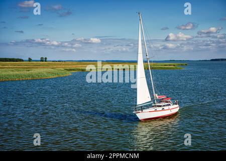 Segelboot Stockfoto