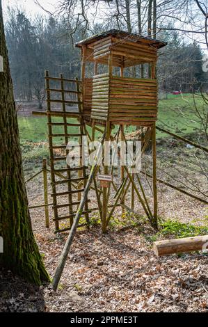 Hirschstand aus Holz in den Wäldern mit Leiter, niedriger Blickwinkel, Wald im Hintergrund, vertikaler Schuss Stockfoto