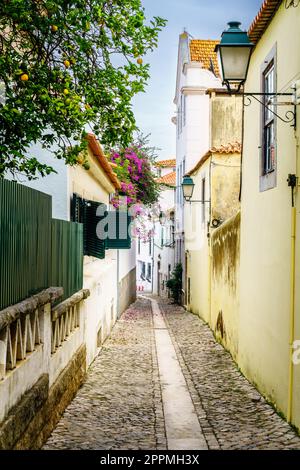 Wohnstraße in Cascais Stockfoto