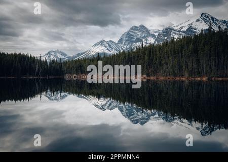 Herbert Lake in Alberta, Kanada an einem bewölkten Tag mit atemberaubenden Bergen und Wasserreflexionen Stockfoto