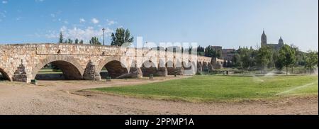 Römische Brücke über den Fluss Tormes und im Hintergrund die Kathedrale von Salamanca (Spanien) Stockfoto