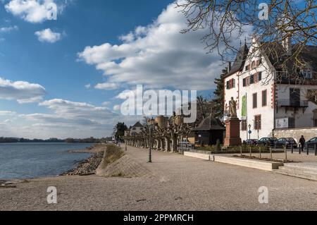 Uferpromenade am Rhein in Eltville am Rhein, Hessen, Deutschland Stockfoto