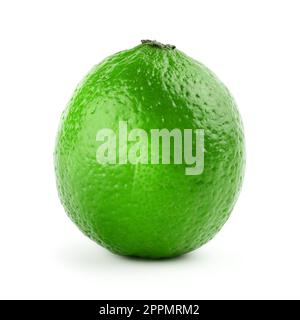 Limette isoliert auf weißem Hintergrund. Stockfoto