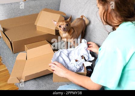 Auspacken von Pappkartons Konzept. Haustierbesitzer und kleiner Hund, der auf dem Sofa sitzt und Pappkartons auspackt. Stockfoto