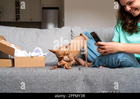 Haustierhandlung im Internet, Frau und ihr Schoßhund, die zu Hause online einkaufen, Tierbesitzer fotografieren Hund, der mit Spielzeug spielt. Stockfoto